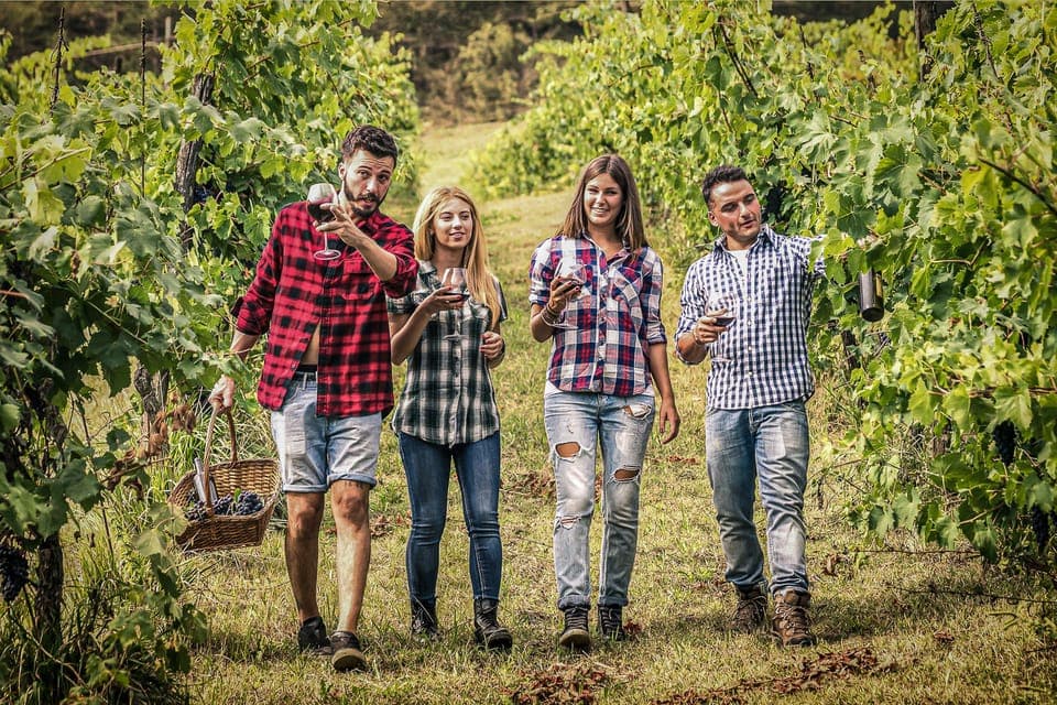 From Buffalo: Customizable Private Day Trip to Niagara Falls Gallery Image 3