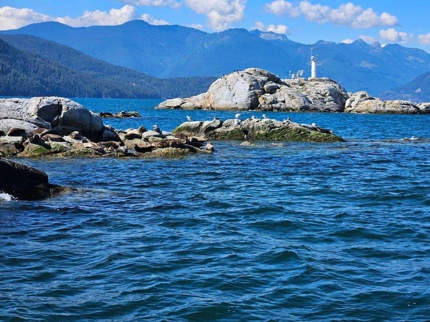 12. Snorkel, Kayak, and Seal Adventure Boat Tour - Image 12