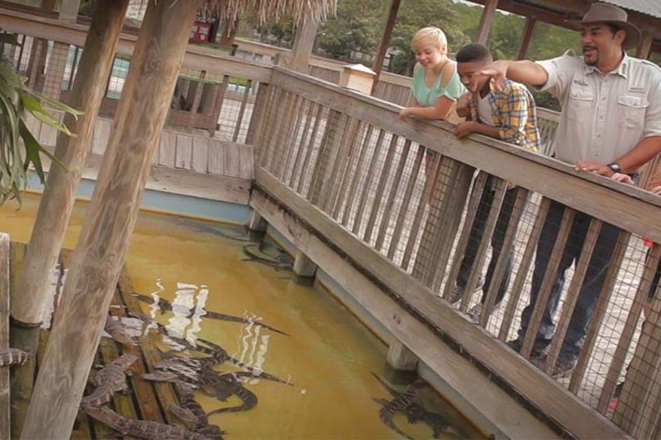 Gatorland Interactive Tour with Animal Trainer Gallery Image 2