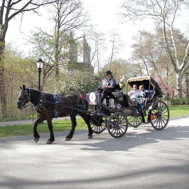 43. Central Park Horse Carriage 25-min Ride - Image 43
