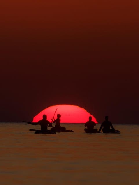 Sunrise Paddleboarding Tour w/Photos & Breakfast Gallery Image 3