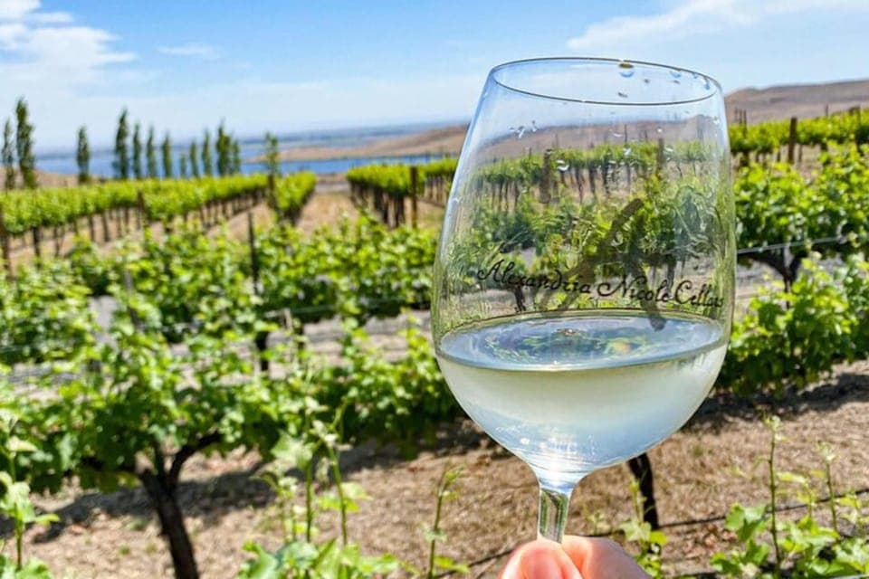 From Seattle - Wine Tasting, Vineyards in Eastern WA Gallery Image 4