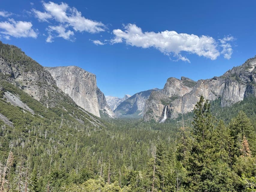 27. Yosemite, Giant Sequoias, Private Tour from San Francisco - Image 27