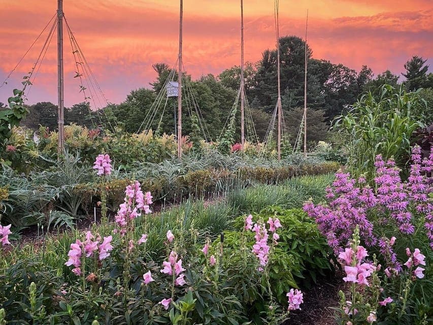 Kennett Square: Longwood Gardens Admission Ticket Gallery Image 4