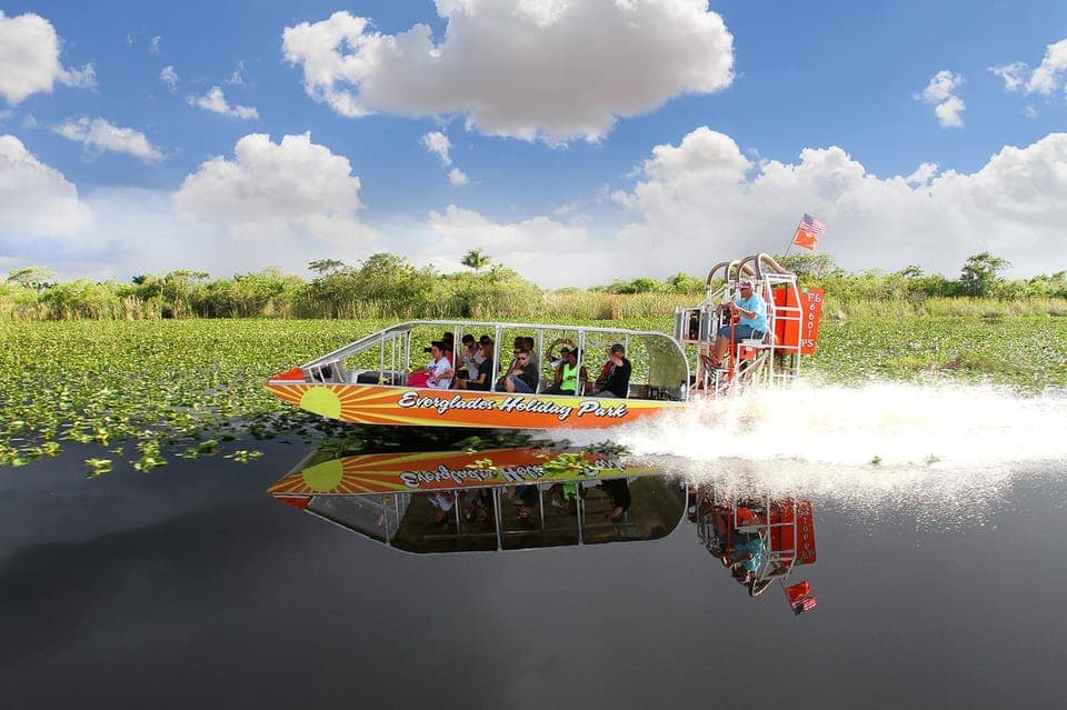 Everglades Adventure & Big Bus Hop-on Hop-off Tour Gallery Image 2