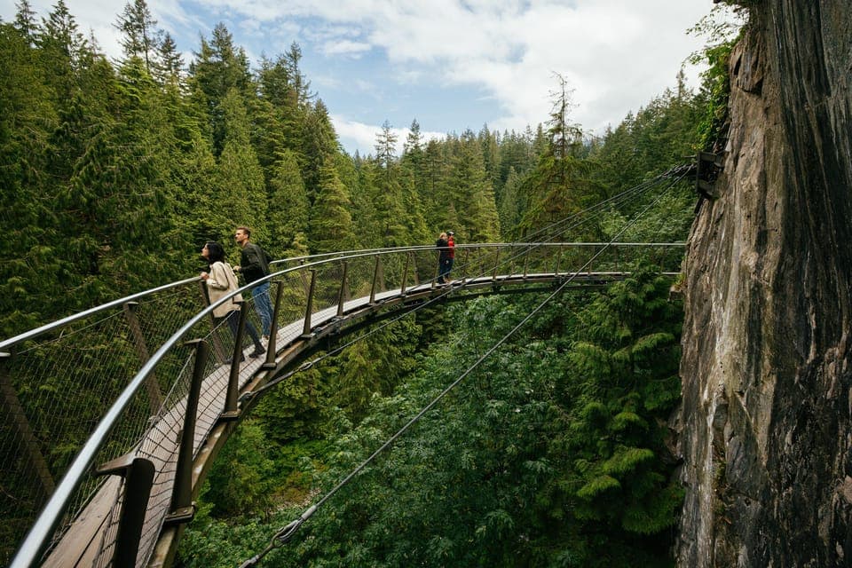 Capilano Suspension Bridge Park Ticket Gallery Image 4
