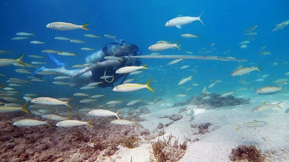 West Palm Beach: Beginner Scuba Diving Adventure with Videos Gallery Image 2