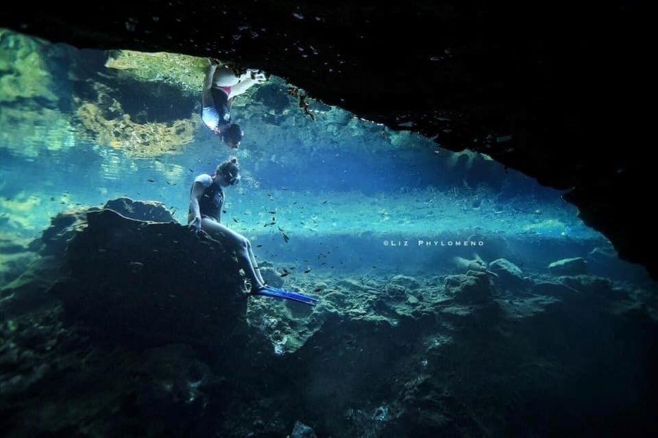 From Cancun: Snorkeling Cozumel The Heaven Gallery Image 3