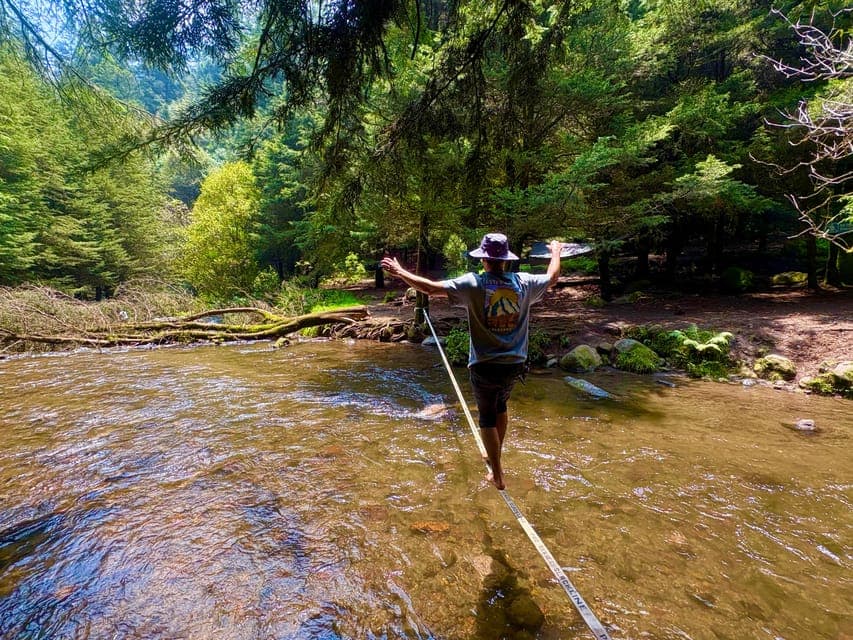 21. Guided Hike in the Dinamos Forest - Image 21