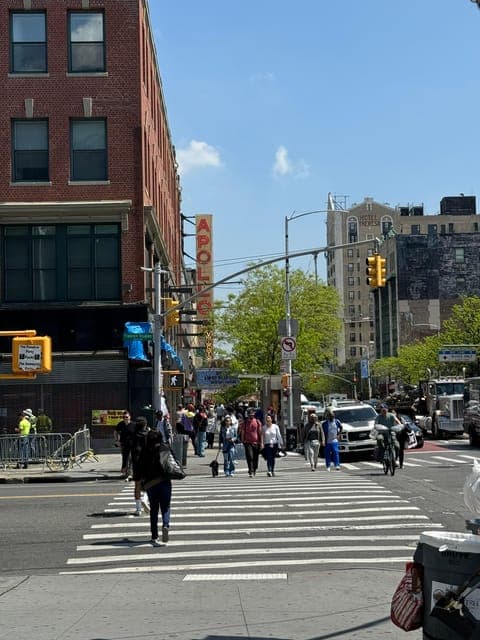 NEW YORK HARLEM GOSPEL WALKING Gallery Image 3