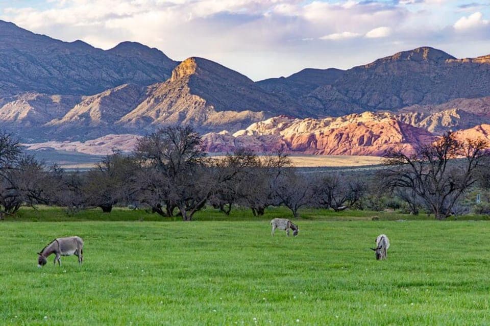 Spring Mountain Ranch Hike and House Visit Gallery Image 2
