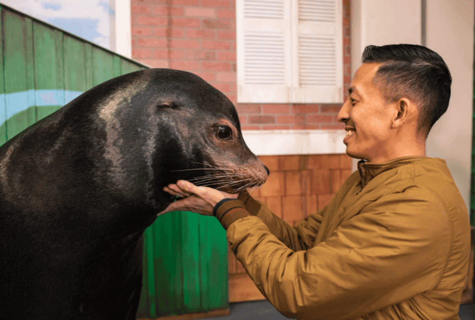 Georgia Aquarium: Sea Lion Encounter - Image 3