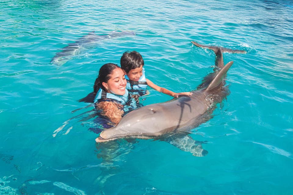 12. Dolphin Swimming Program on Isla Mujeres with Buffet - Image 12