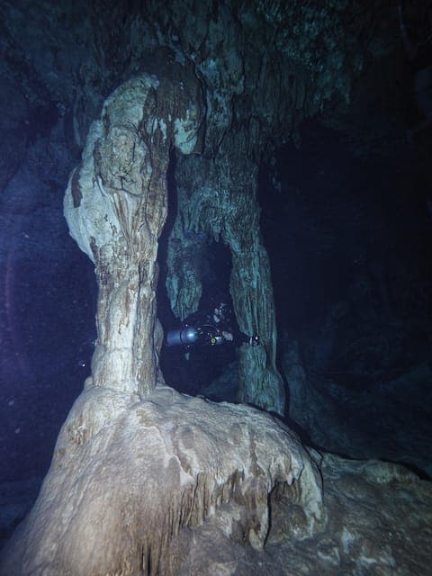 From Cancun: 2 Dives in Cenote Dos Ojos for Certified Divers Gallery Image 2