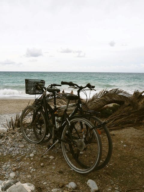 Solana Beach: Beach Cruiser Full-Day Bike Rental Gallery Image 4