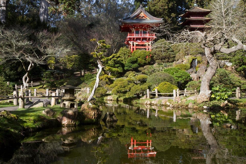 San Fancisco: Golden Gate Park Surrey Rental Gallery Image 4