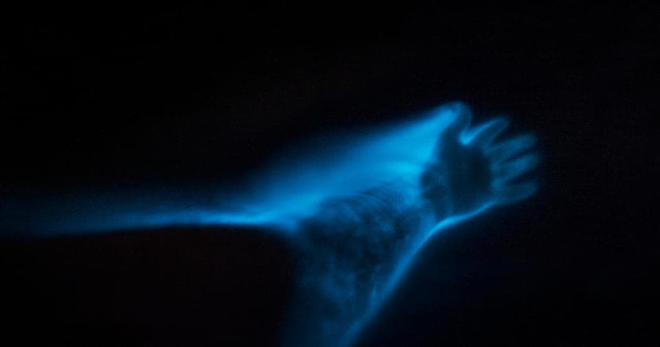 Bioluminescence Clear Kayaking or Paddleboarding - Image 8