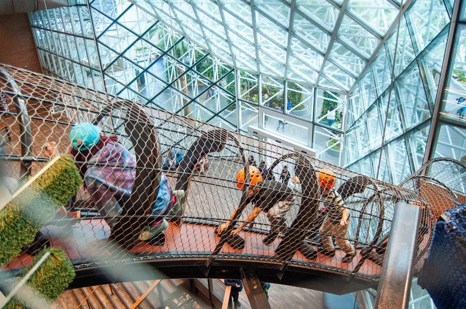 Chicago Children's Museum Entry Ticket Gallery Image 2