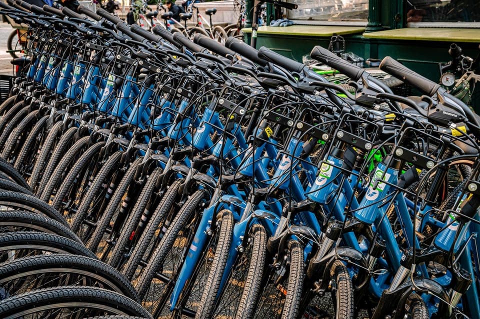 Central Park Bike Rental Gallery Image 2