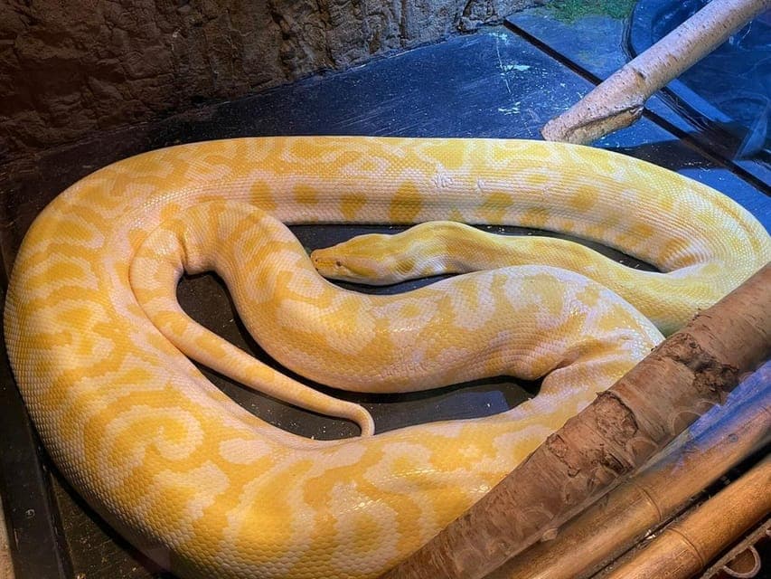 Austin Aquarium Entry Ticket Gallery Image 4