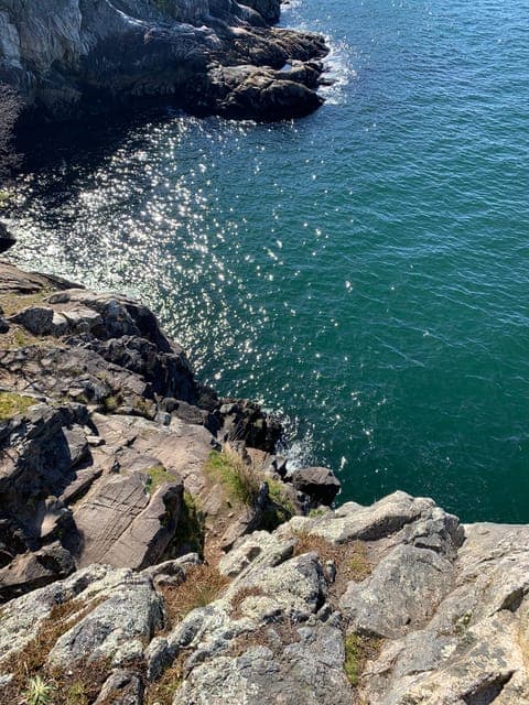 Lighthouse Park Hike Gallery Image 2