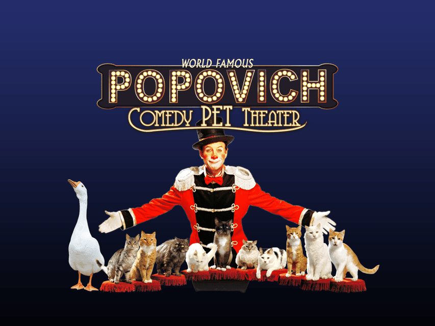 21. 75-Minute Popovich Comedy Pet Theater in Las Vegas - Image 21