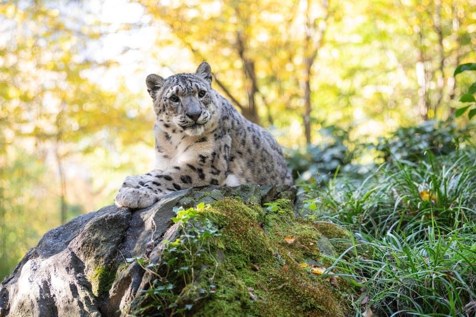 Central Park Zoo Entry Ticket Gallery Image 1