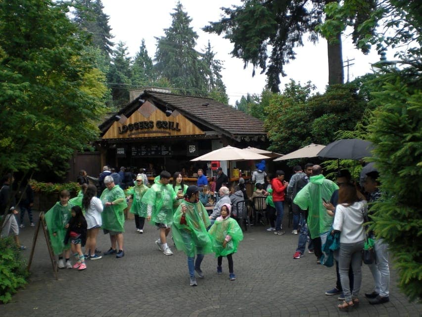 42. City and Mountain Adventure with Grouse Mountain - Image 42