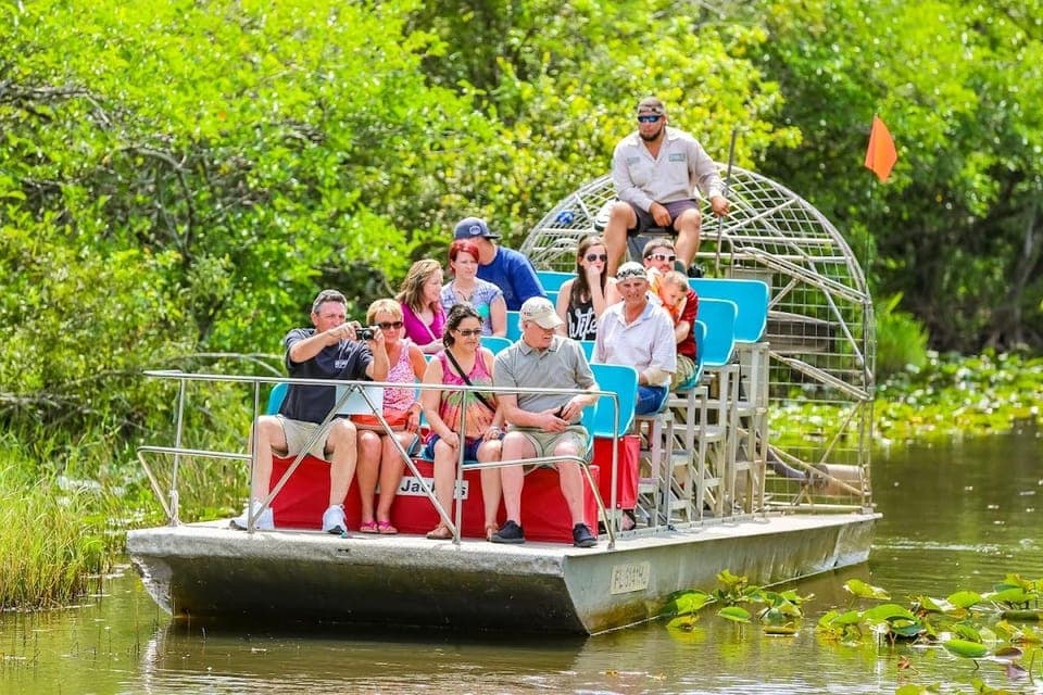 From Miami: Everglades Wildlife Show, Airboat & Bus Transfer Gallery Image 1