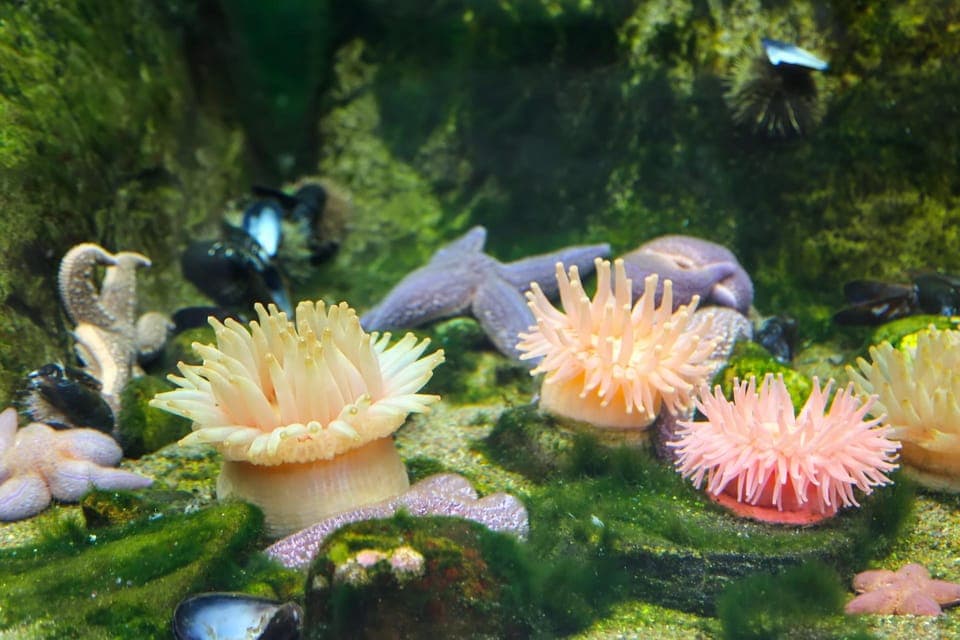 Skip-the-line Biodome Private Tour with Tickets Gallery Image 4