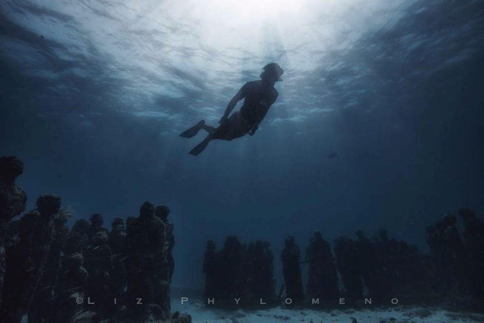 From Cancun: Snorkeling Cozumel The Heaven Gallery Image 4