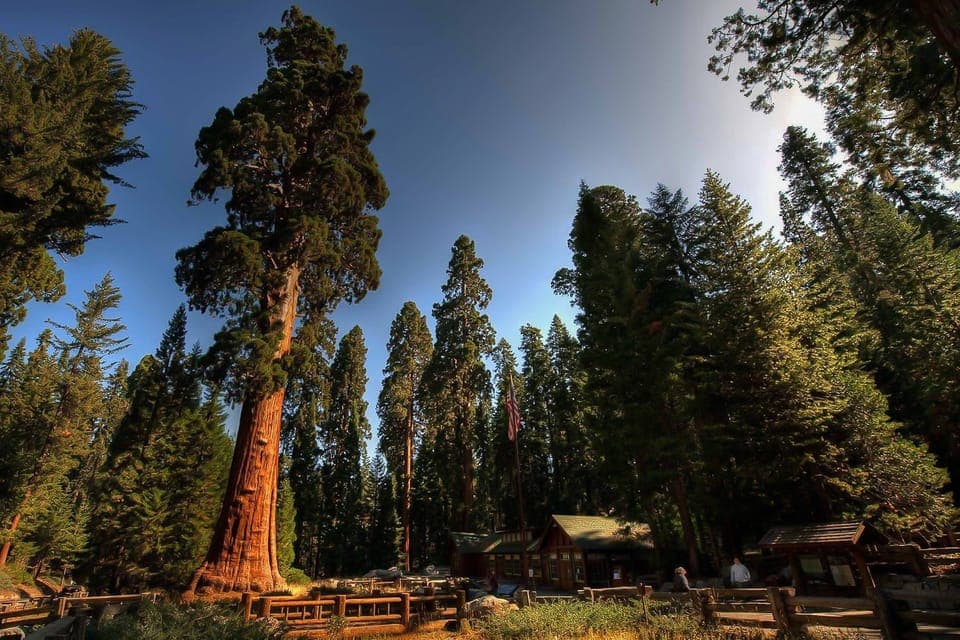 Yosemite Private Full-Day Trip Gallery Image 4