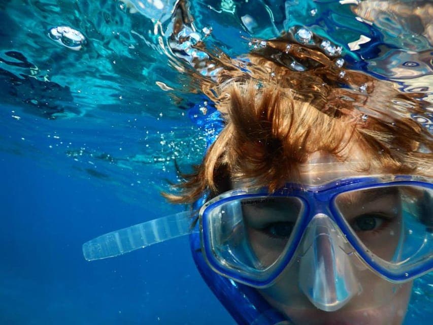 Miami Snorkeling for Beginners from Bayside Market Place Gallery Image 2