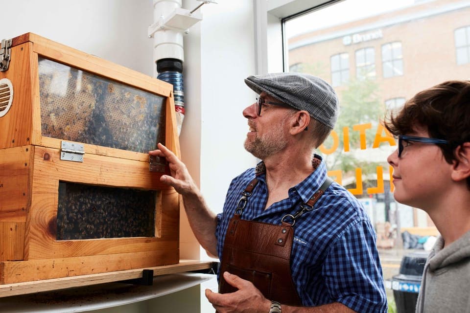 Honey and Distillery Tour with Tasting Gallery Image 2