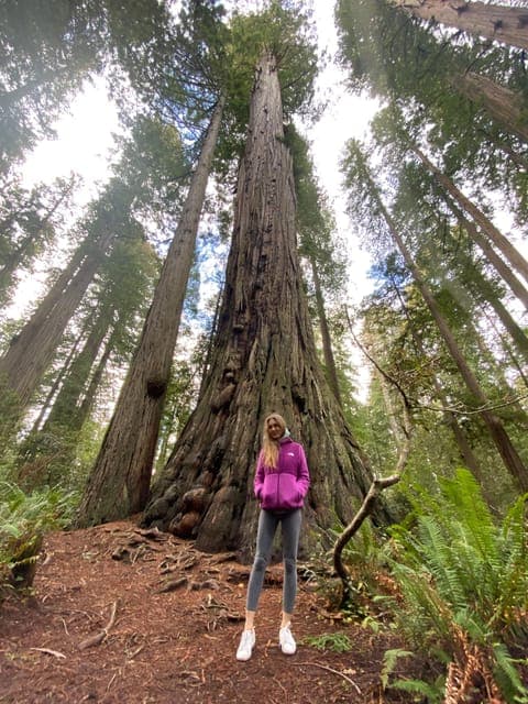 Pacific Coast Highlights Tour: Seattle to San Francisco Gallery Image 3