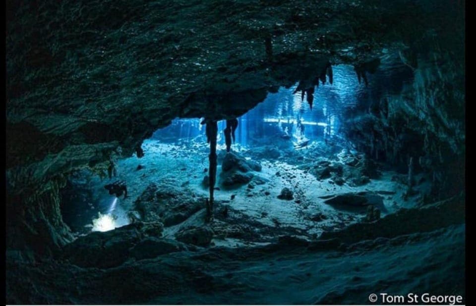 From Cancun: Dos Ojos Cenote Diving Experience Gallery Image 1