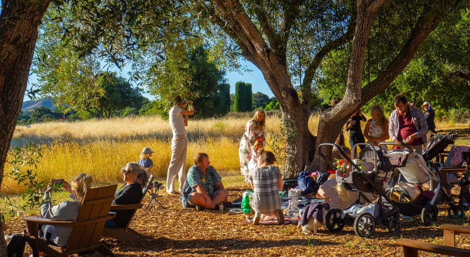 Woodside: Filoli Historic House and Garden Entry Ticket Gallery Image 4