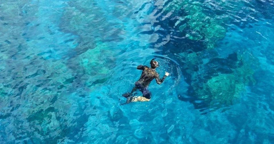 From Cancun: Snorkeling Cozumel The Heaven Gallery Image 2