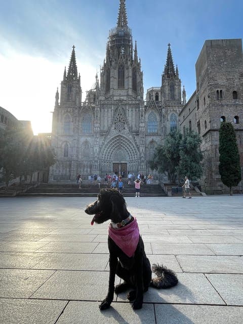 Hidden Gems Walking Tour with a Local & Dog Gallery Image 3
