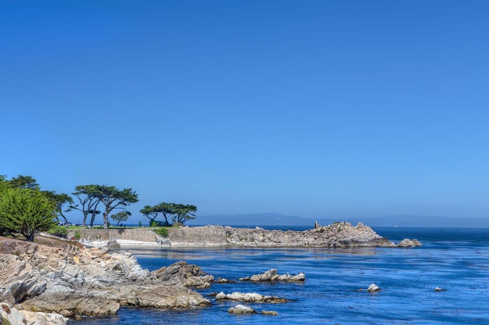 Monterey Peninsula Sightseeing Tour including 17 Mile Drive Gallery Image 2