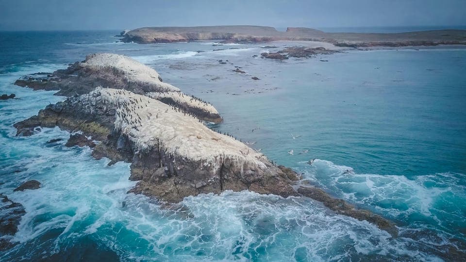 4-Day VIP Tour with Coast Starlight Train Gallery Image 4