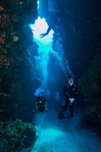 Cancun: Barracuda Dive Expedition Gallery Image 2