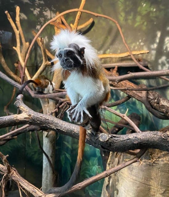 Central Park Zoo & Central Park Guided Walking Tour Gallery Image 3