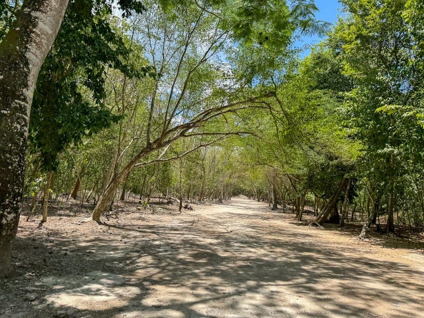 From Cancun: Tour to Tulum and Coba with cenote visit and lunch buffet Gallery Image 2