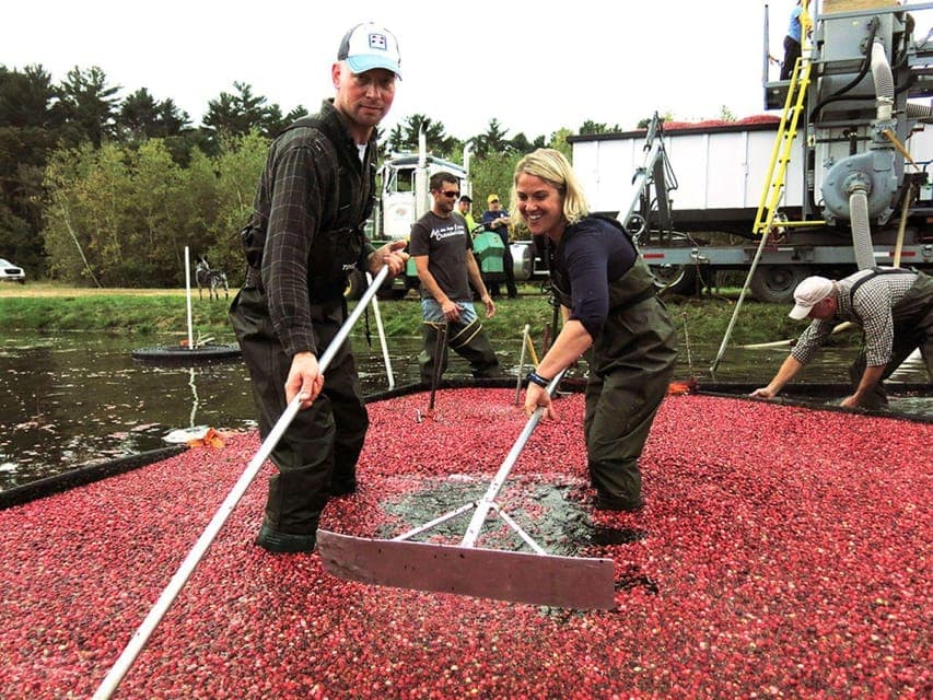 30. Become A Cranberry Bogger for a Day Experience - Image 30