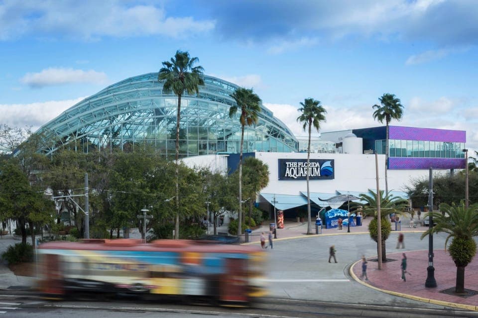 The Florida Aquarium Ticket Gallery Image 4