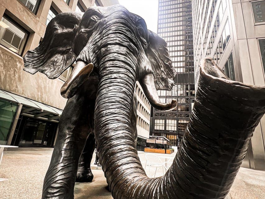 25. Hidden Toronto City Walking Tour - Image 25