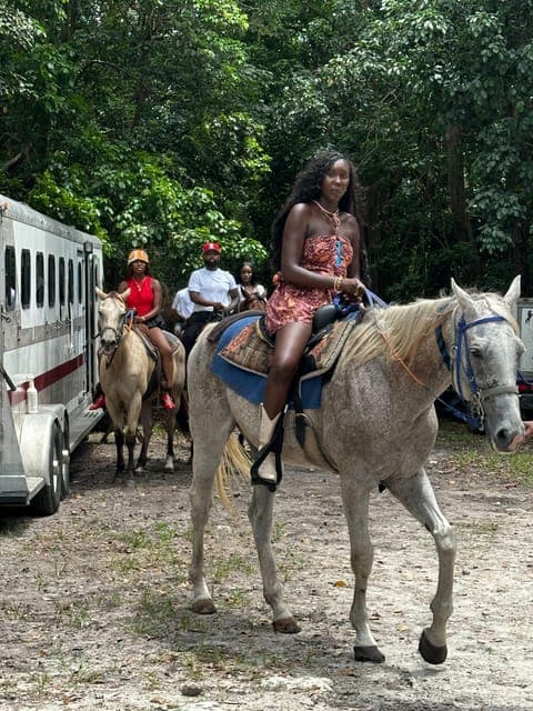 Horseback Riding in South Beach Gallery Image 2