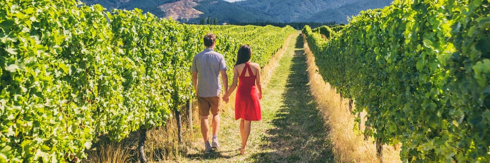 Horseback Riding and Wine Tasting Tour Gallery Image 3