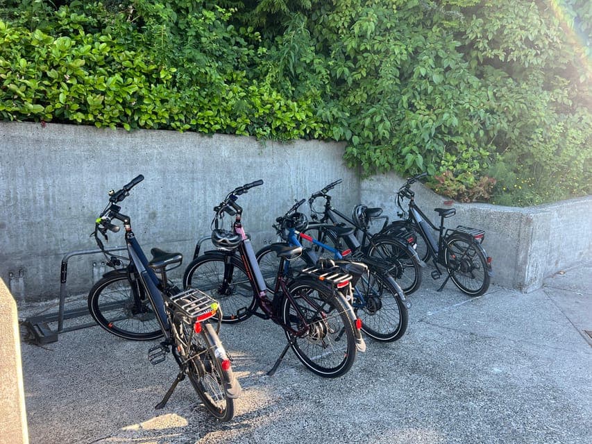 3 Hour Emerald City Standard Bike Tour Gallery Image 4